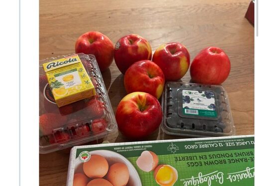 Man Laments Over A $32 Grocery In America (Photo)