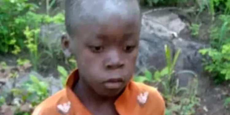 8-year-old Boy Survives 5 Days In Lion-Inhabited Game Park