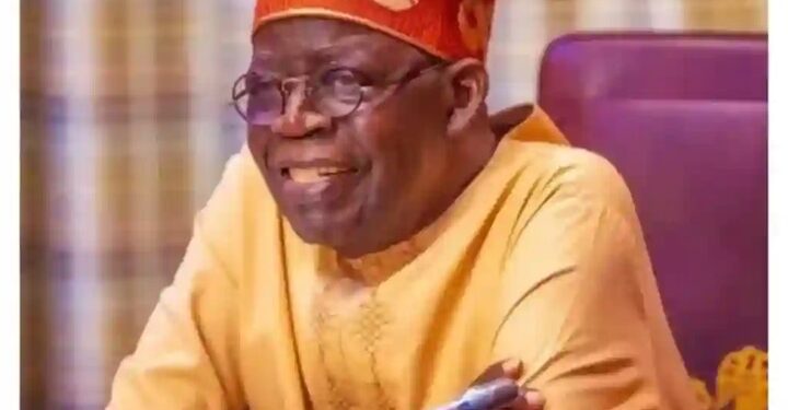 People Will Insult Me, But I Know What It Takes To Build A Nation – Tinubu