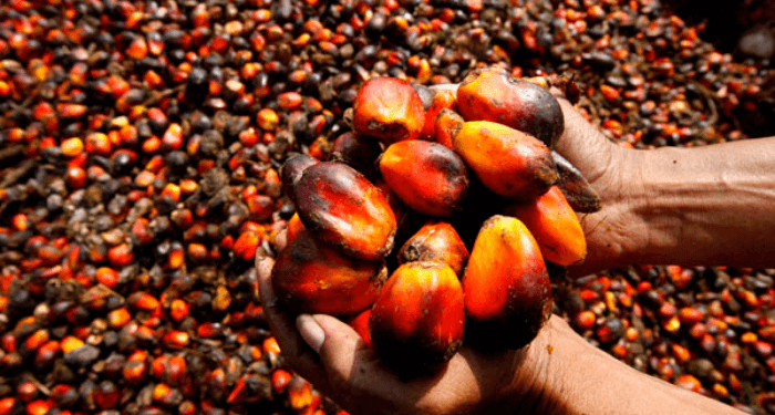 Nigeria’s Largest Palm Oil Maker To Raise Record ₦‎100 Billion Bond