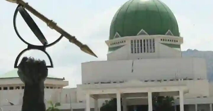 Nigeria Fooling Itself Over Border Closure – National Assembly