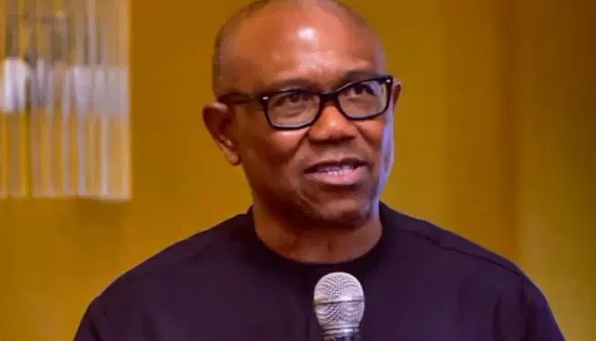 No One Is Spared From Kidnapping, We Can’t Burn Down Nigeria – Peter Obi
