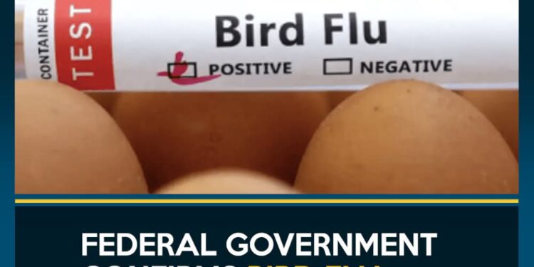 Bird Flu Outbreak Confirmed In Kano
