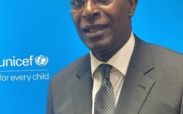 UN Condemns Killing Of Farmers In Borno, Urges Protection For Civilians