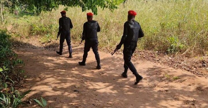 Troops Kill Eight IPOB Members, Recover Arms In Anambra