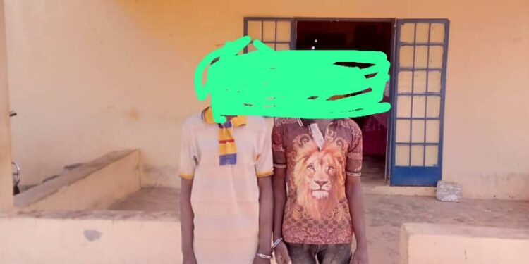 Man Stabs Elder Brother To Death In Kebbi