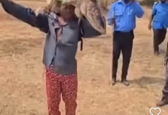 Man Arrested For Killing A Crocodile At The IBB Golf Club Abuja