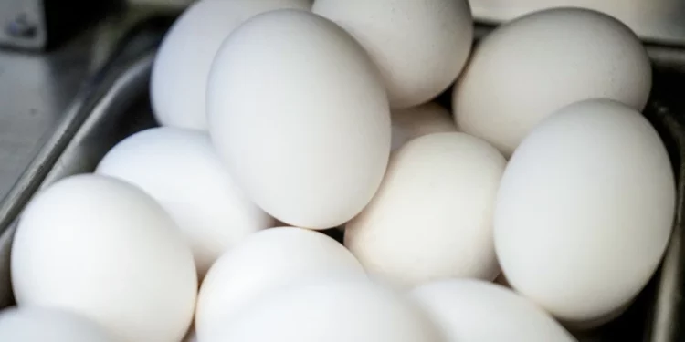 About 100,000 Eggs Worth $40,000 Stolen From Trailer In Pennsylvania