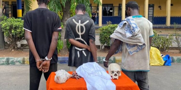 Imo Police Arrest 3 With Human Skull, Native Hen, White Garments (Photo)