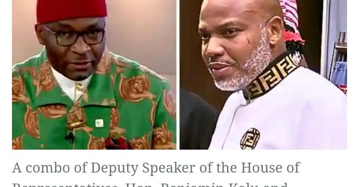 Temper Justice With Mercy And Release Nnamdi Kanu, Deputy Speaker Begs Tinubu