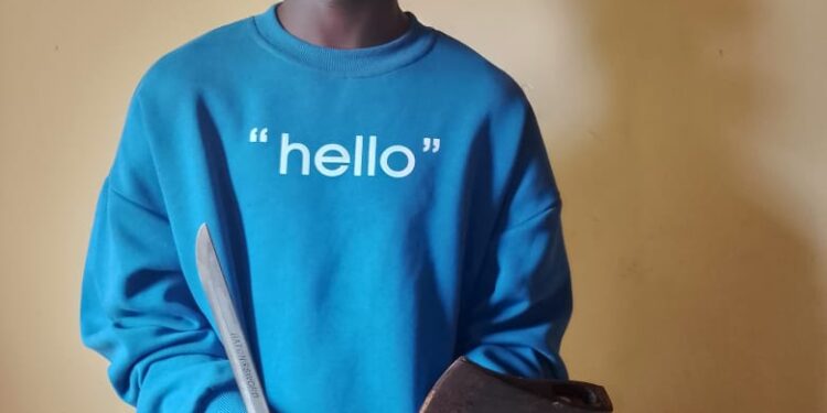 Police Arrest Suspect, Recover Weapons In Nasarawa Homicide Case