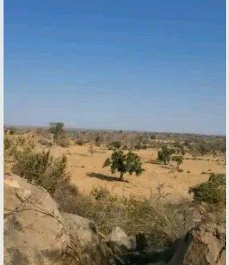 Troops Kills Over 50 Terrorists, Captures The Deadliest Stronghold In Zamfara