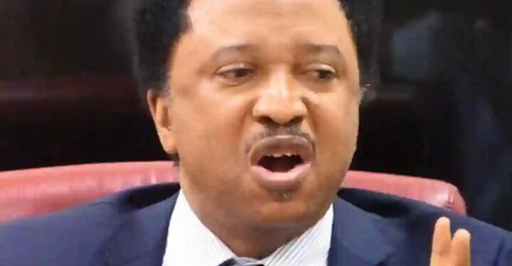 Nnamdi Kanu’s Prolonged Detention Is Unfair – Senator Shehu Sani