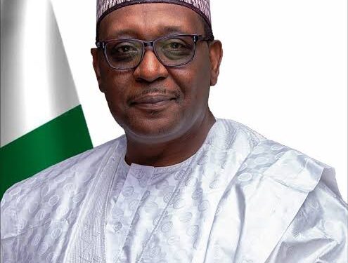FG To Take Over Salaries Of 28,000 Health Workers Affected By USAID Freeze