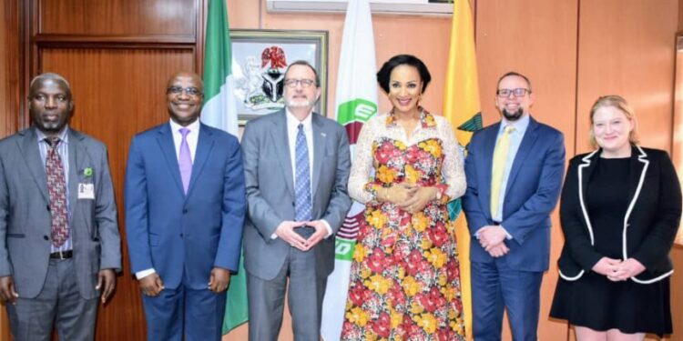 Follow Due Process In Deporting Nigerians – FG Urges US