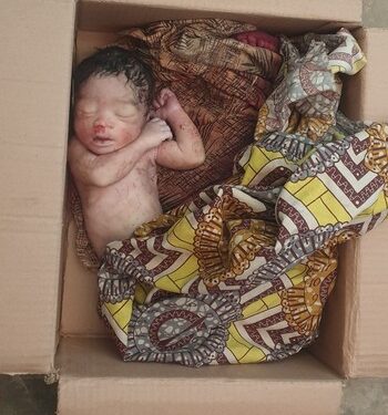 Kano: Newborn Baby Found Dead In Abandoned Carton (Disturbing Photo)