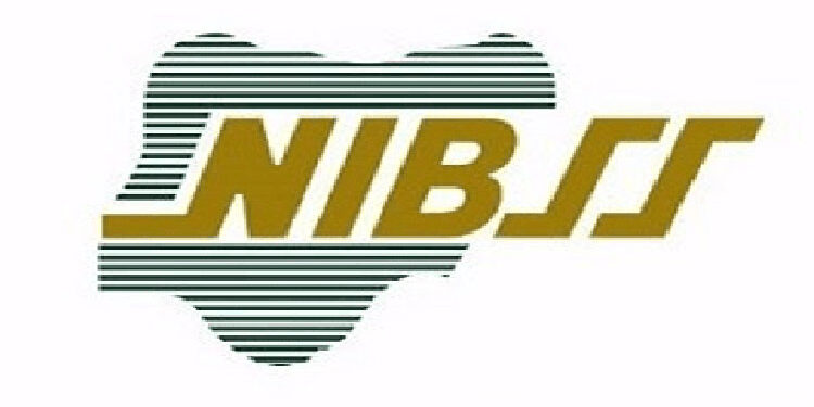 Fraudsters Steal Over ₦‎1 Billion Through BVN Registered For Minors – NIBSS
