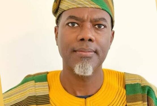 Please Leave Me Out Of The Natasha Akpoti’s Affair – Reno Omokri