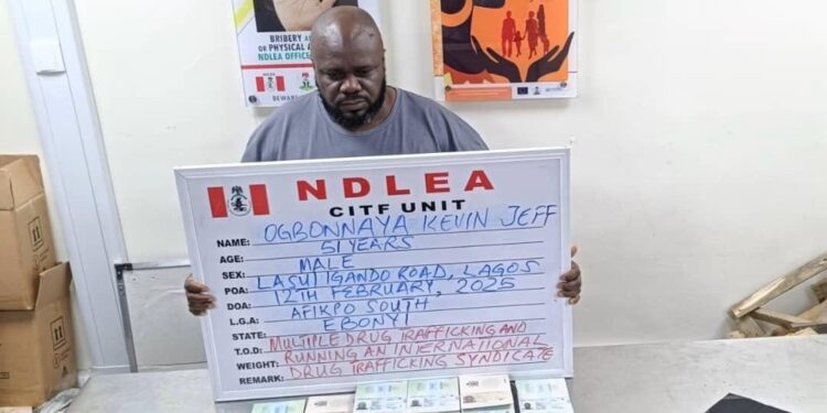 NDLEA Arrests Wanted Drug Baron In Lagos After 17 Years
