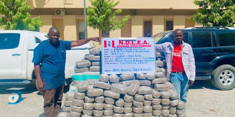 Four Drug Kingpins Bag 95 Years In Jail, Forfeit Vehicles And Others
