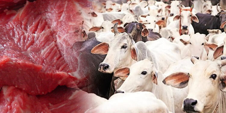 Butchers Fear Shutdown As Cow Price Soars To ₦2M
