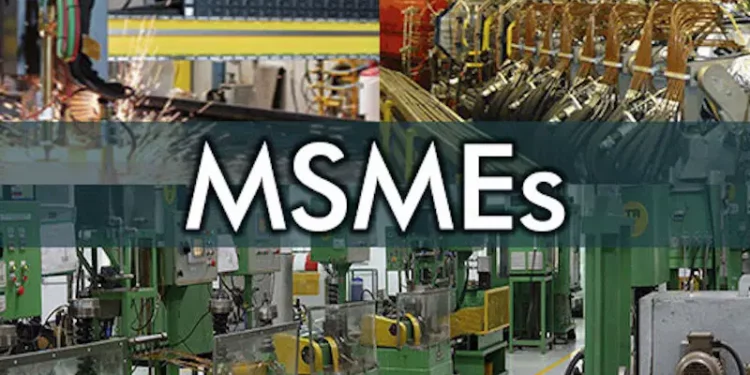 Over 7m Small Businesses Shut Down In 2 Years — NESG