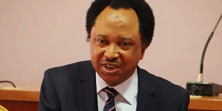 Lagos-Calabar Highway Project Is Not Wasteful, Shehu Sani Replies Obasanjo