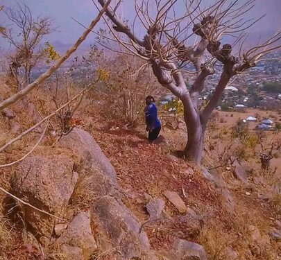Young Girl Found Dead Hanging From A Tree In Gombe