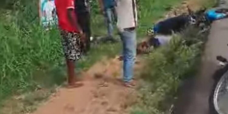 Two Young Men Killed As Stray Cow Runs Out Of Bush In Ondo State (Photos)