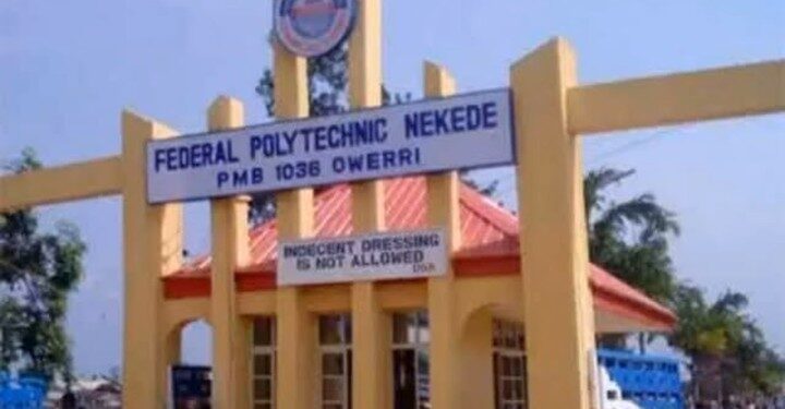 Federal Poly, Nekede Suspends Lecturer For Assaulting Student