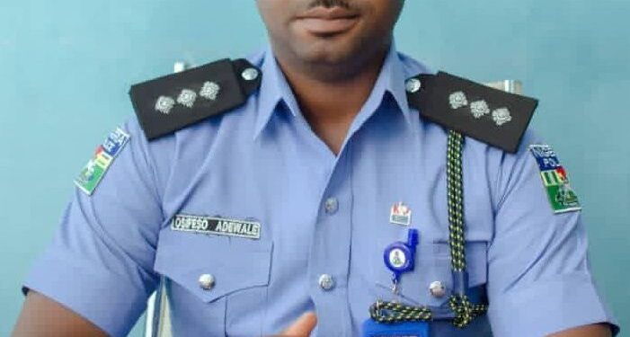 Police Bust Syndicate Selling Human Body Parts For Rituals In Ibadan