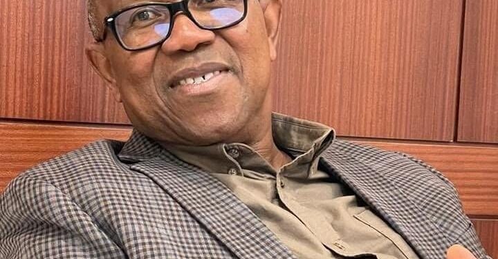 Democracy Has Been Knocked Down In Nigeria – Peter Obi (Video)