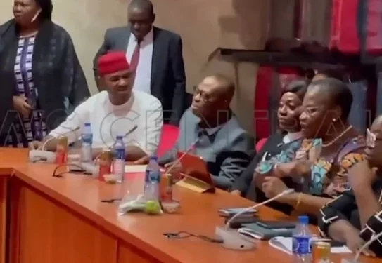 Natasha: Oby Ezekwesili Also Made Uncomplimentary Remarks Against Me – Ubani
