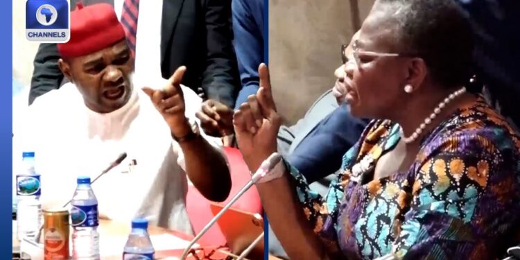 I Regret My Choice Of Words To Oby Ezekwesili – Senator Onyekachi