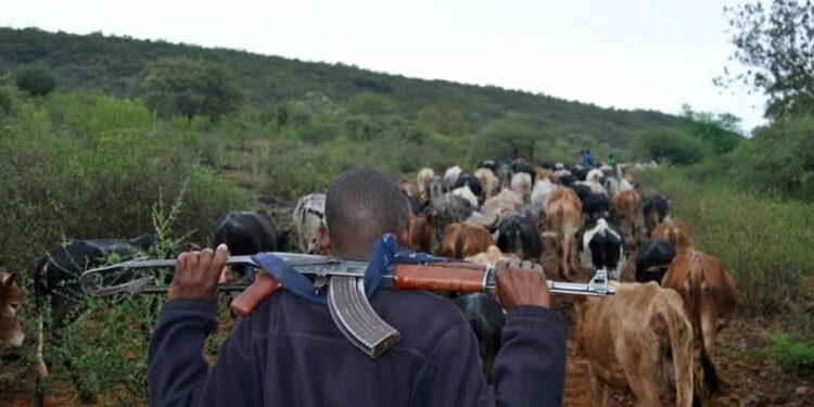 Herdsmen Attacks Displace 7,000, Force 1,000 Children Out Of School In Enugu