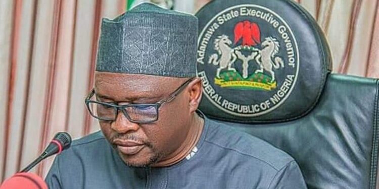 Don’t Die For Politicians, Governor Finitri