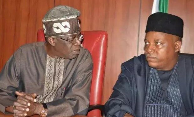 2023: Tinubu, Shettima, Rank High On Google Search In Past Month