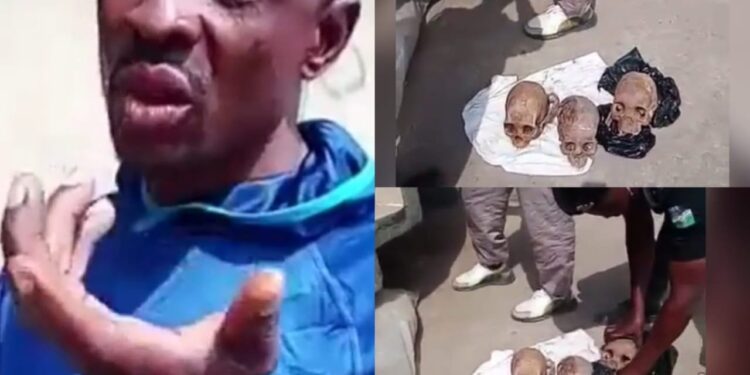 Man Arrested With Three Human Skulls In Lagos (Photos)