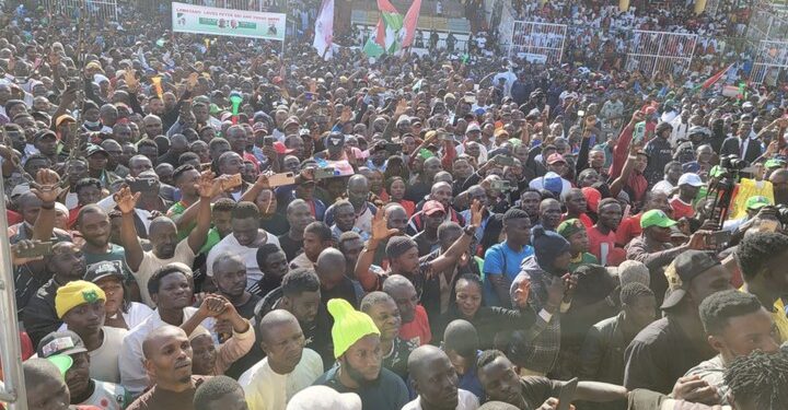 Videos Of Peter Obi Presidential Rally In Gombe State