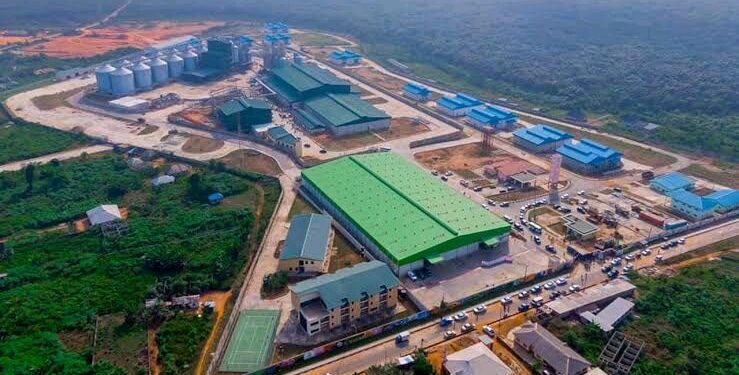 The Economic Potentials Of Imota Rice Mill