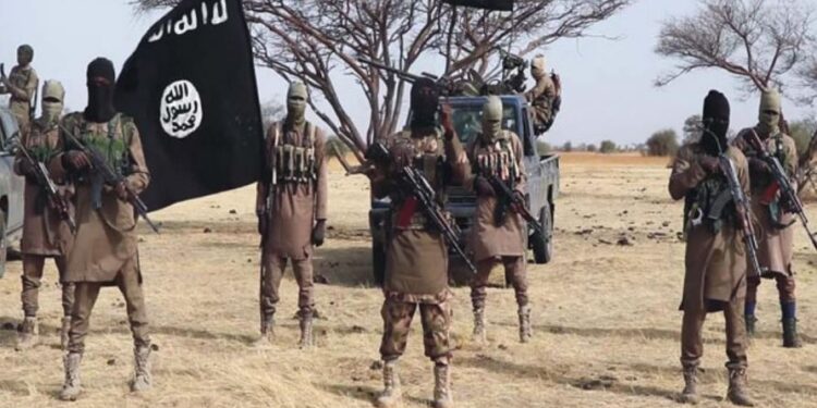 Boko Haram Kills 300 Fighters Planning To Surrender