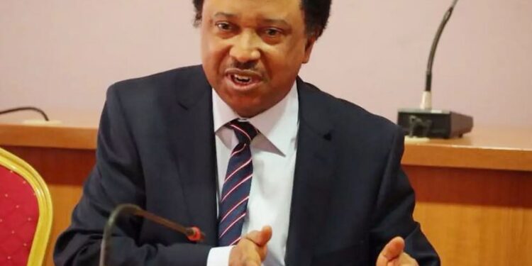 Fuel Scarcity: Shehu Sani Reveals Those Responsible