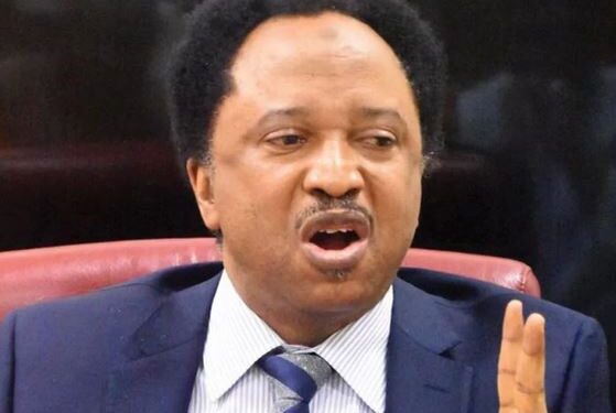 Banks Hoarding New Naira Notes For Next Month’s Elections – Shehu Sani