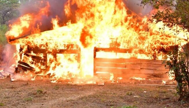 NDLEA Storms Edo Forests, Razes 317 Tons Cannabis Warehouses