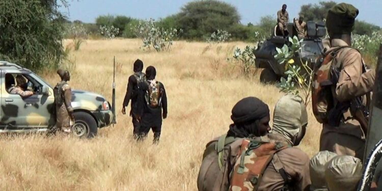 BREAKING: Boko Haram Terrorists Launch Attack On Borno Community, Kill Farmer, Abduct Eight Others