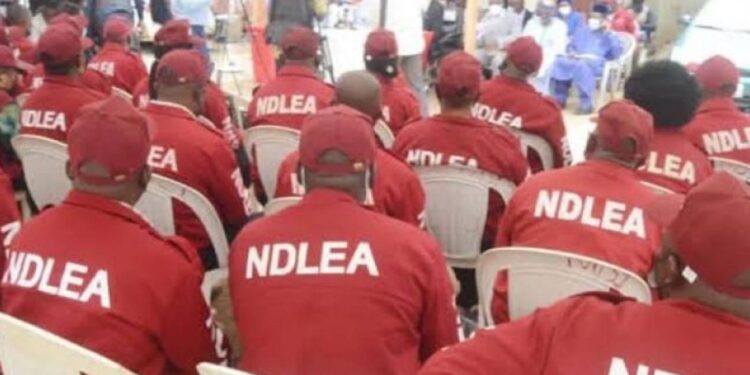 We Can’t Feed Family With N44,000 Salary; No Allowances, No Barracks For Us To Stay – NDLEA Officers Lament