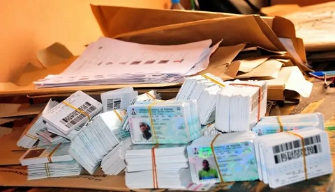 Declare Public Holidays For PVC Collection – Ohanaeze Tells Southeast Governors