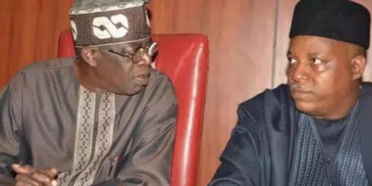 Northerners Plotting To Make Shettima President If Tinubu Becomes Incapacitated – Najaatu