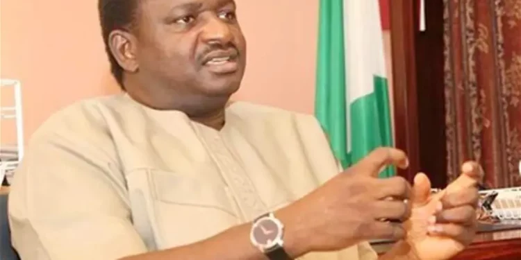 Government Not Responsible For Creating Jobs – Femi Adesina