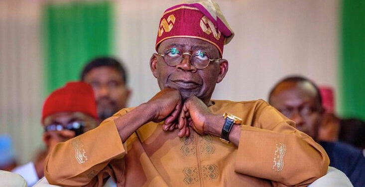 I Will Fulfil All My Campaign Promises – Tinubu